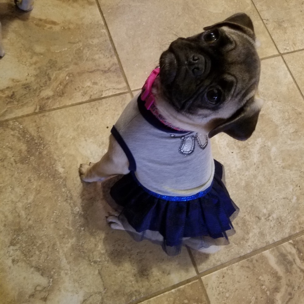 Meet your Posher, Diane